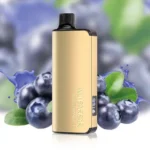 ALIBARBAR INGOT Blueberry Blast Vape Australia